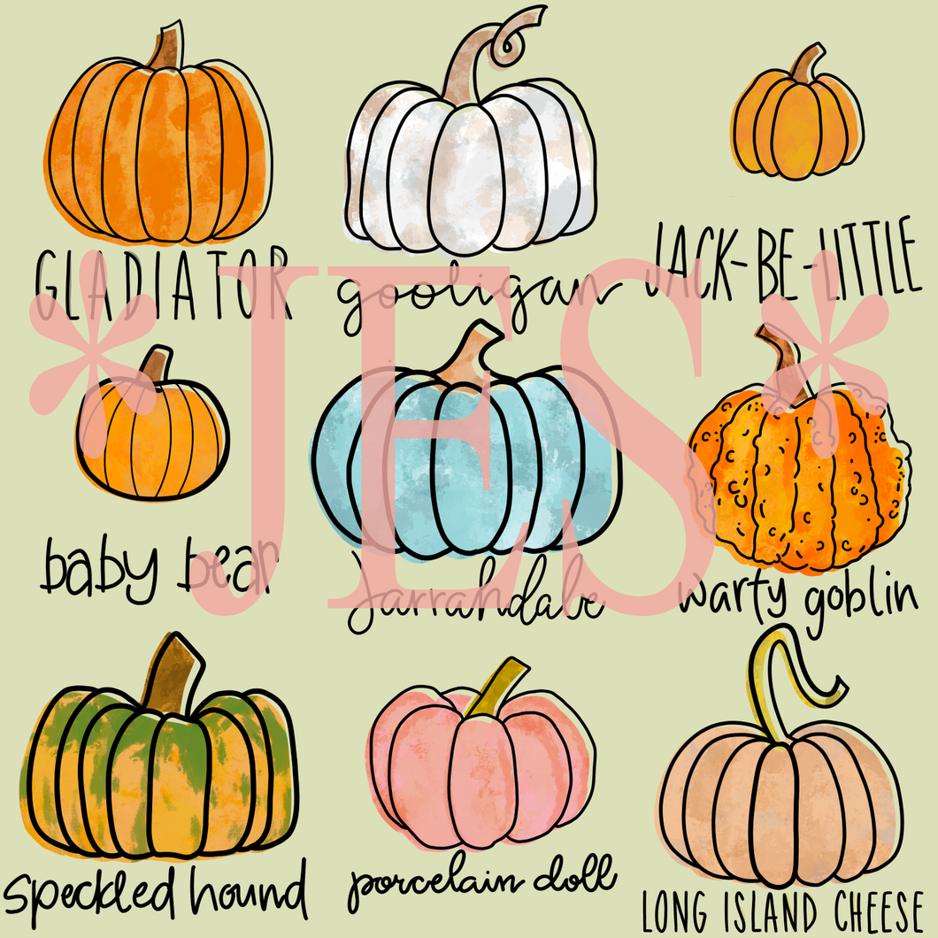 Fall Pumpkin Variety Screen print